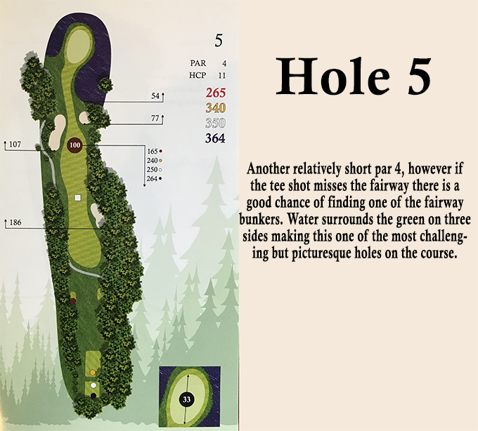 hole 5 overview