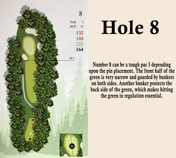 hole 8 overview