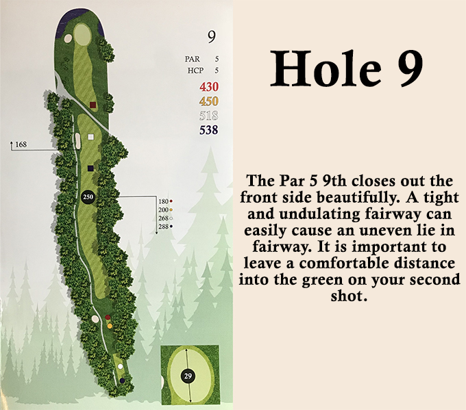 hole 9 overview