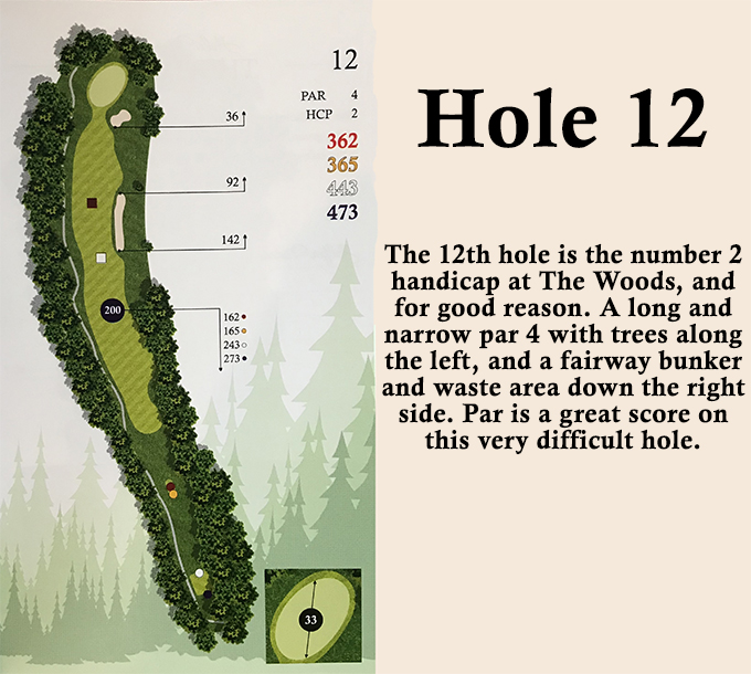 hole 12 overview