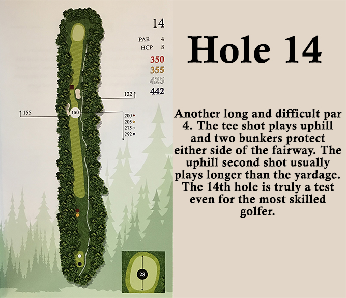 hole 14 overview